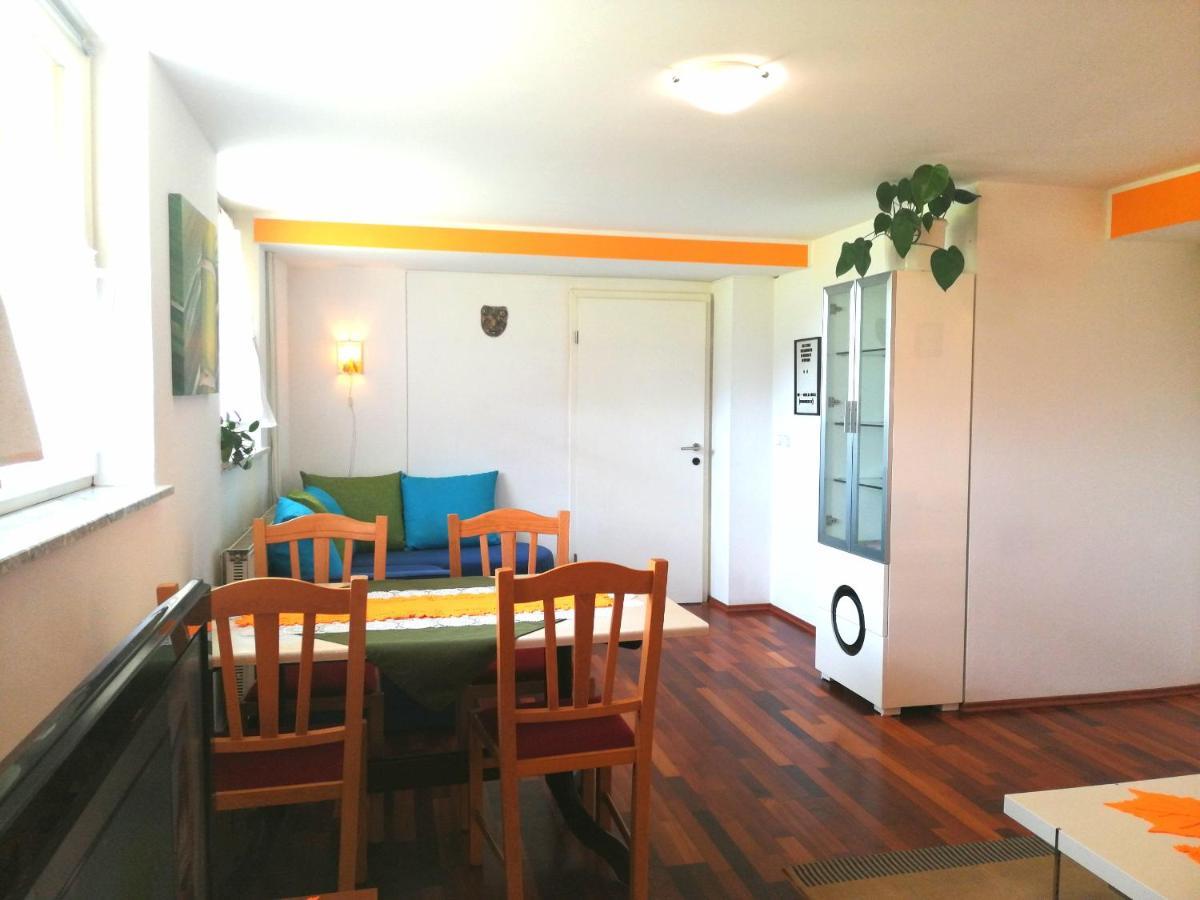 Mateja House - Apartments In Zirovnica Родине Экстерьер фото