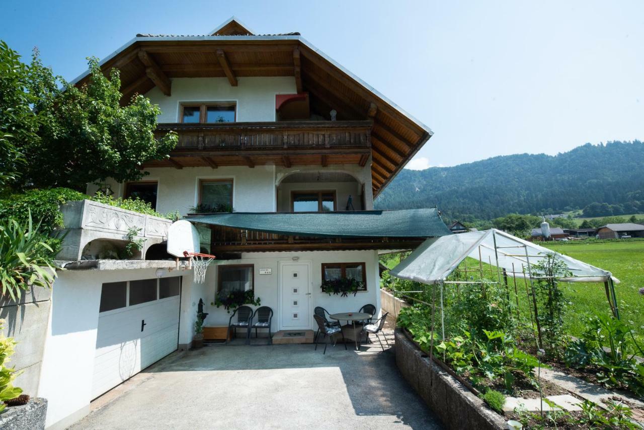 Mateja House - Apartments In Zirovnica Родине Экстерьер фото