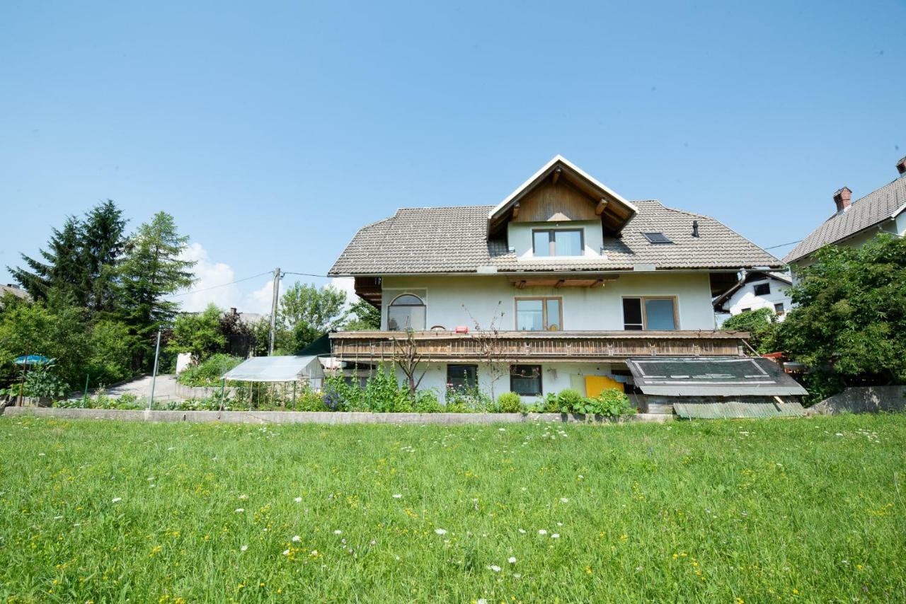 Mateja House - Apartments In Zirovnica Родине Экстерьер фото